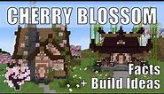 Minecraft Cherry Blossom Build Ideas | All About Cherry Blossom Minecraft 1.20