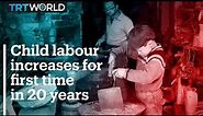 Child labour increases for first time in 20 years