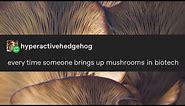Every time someone brings up mushrooms in biotech
