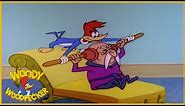 Woody Woodpecker | bats In The Belfry | Full Episodes