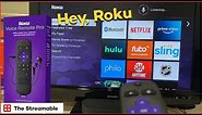 Roku Voice Remote Pro Review: Is This $30 Hands-Free, Rechargeable Remote Worth It? | Ep. 33