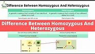 Difference Between Homozygous And Heterozygous | Genetics