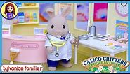 Sylvanian Families Calico Critters Country Doctor Set Up Review Play - Kids Toys