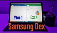 Samsung Tab S6 Lite Dex Mode PRODUCTIVITY (Word, Excel, Multi-Tasking, and Keyboard Shortcuts)