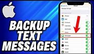 How To Backup iPhone Text Messages (2024) - Easy Fix