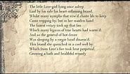 Sonnet 154: The little Love-god lying once asleep