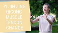 Qigong Yi Jin Jing - Qigong Muscle Tendon Change Classic