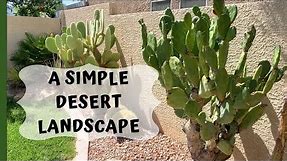A Simple Desert Landscape Garden (Cactus planted in ground)