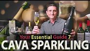 Spanish Cava Sparkling Wine: What You Need to Know!