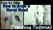 How to draw a Horse head 2