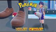 Pokémon Scarlet and Violet Wiglett Spectacularly Hilarious Meme