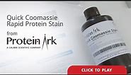 Protein Ark's 1-Step Quick Coomassie Rapid Protein Stain