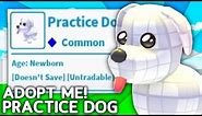 How To Get The SECRET Practice Dog Pet In Adopt Me! Roblox