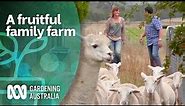 A fruitful family farm | Becoming self-sufficient | Gardening Australia