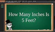 ✅ How Many Inches Is 5 Feet