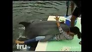 *Worlds Funniest* Dolphins Humping Humans