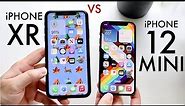 iPhone 12 Mini Vs iPhone XR! (Comparison) (Review)