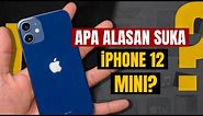 Apa Alasan Suka iPhone 12 mini?