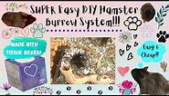 How to Make a DIY Hamster BURROW SYSTEM!! || Easy & Cheap!!