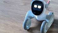 Meet Loona, the most intelligent robot in the world