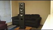 Sony SS-CS3 tower speakers with the super tweete straight up Review by TJ The Stereo Bargin File