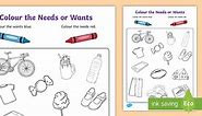 Color the Needs or Wants Worksheet