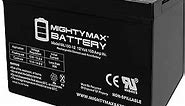 Mighty Max Battery 12V 100Ah SLA AGM Battery for Off Grid Solar Panels