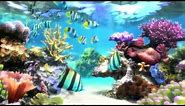 Sim Aquarium - Screensaver & Live Wallpaper - SimAquarium.com