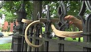 Extreme Wood Bending from Pure Timber