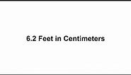 6.1 feet in cm? How to Convert 6.1 Feet(ft) in Centimeters(cm)?