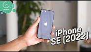 iPhone SE 2022 | Review en español