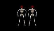 Funny Skeleton Dance II - Royalty free clip