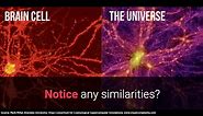 Is The Universe A Giant Brain?