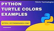 How to use colors in Python Turtle | Python Turtle Colors