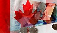 What’s next as Bank of Canada’s key interest rate holds steady