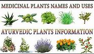 Medicinal Plants And Their Uses | 20 Ayurvedic Plants Names | Medicinal Herbs You Can Grow