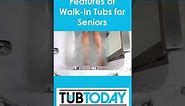 The Top 10 Features of Walk-In Tubs for Seniors