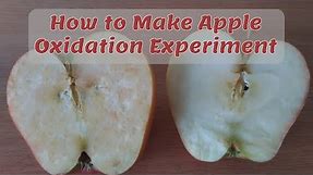 How to Make Apple Oxidation Experiment