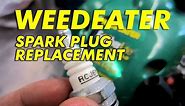 Weedeater Spark Plug Replacement - Video