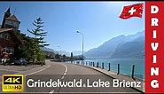 Driving in Switzerland 17: From Grindelwald to Lake Brienz and Innertkirchen | 4K 60fps
