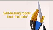 Self-healing robots that ‘feel pain’