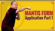 Kung Fu Techniques: Praying Mantis Form Applications - Part 1