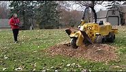 Rayco Rg80 stump grinding