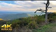 Shenandoah National Park in Early Fall 4K | Skyline Drive | 2 Hours Relaxing Scenic Driving Virginia