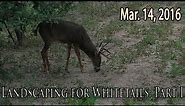 Midwest Whitetail | Planting Apple Trees for Deer Hunting