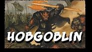 Dungeons and Dragons Lore: Hobgoblin