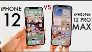 iPhone 12 Vs iPhone 12 Pro Max In 2022! (Comparison) (Review)
