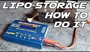 Putting LIPO Batteries Into Storage Mode