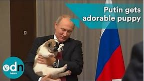 Putin gets adorable puppy for his 65th birthday