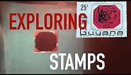 Most valuable Stamp 1C Magenta - S2E13